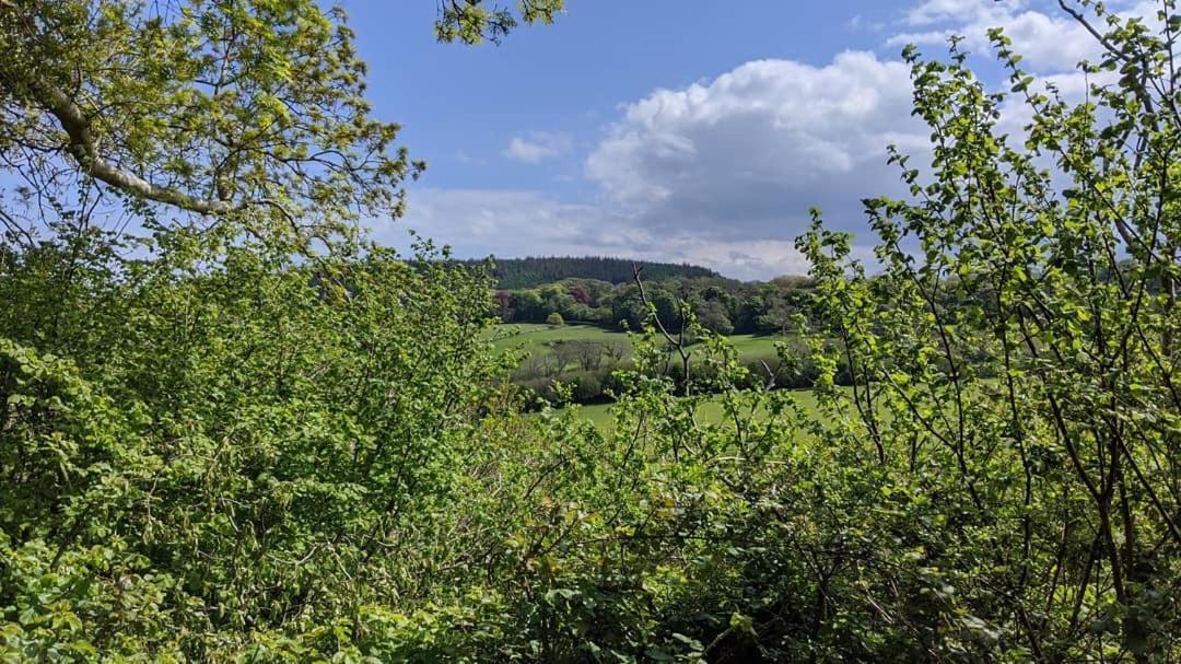 No7 Glan Nodwydd Villa Pentraeth Esterno foto